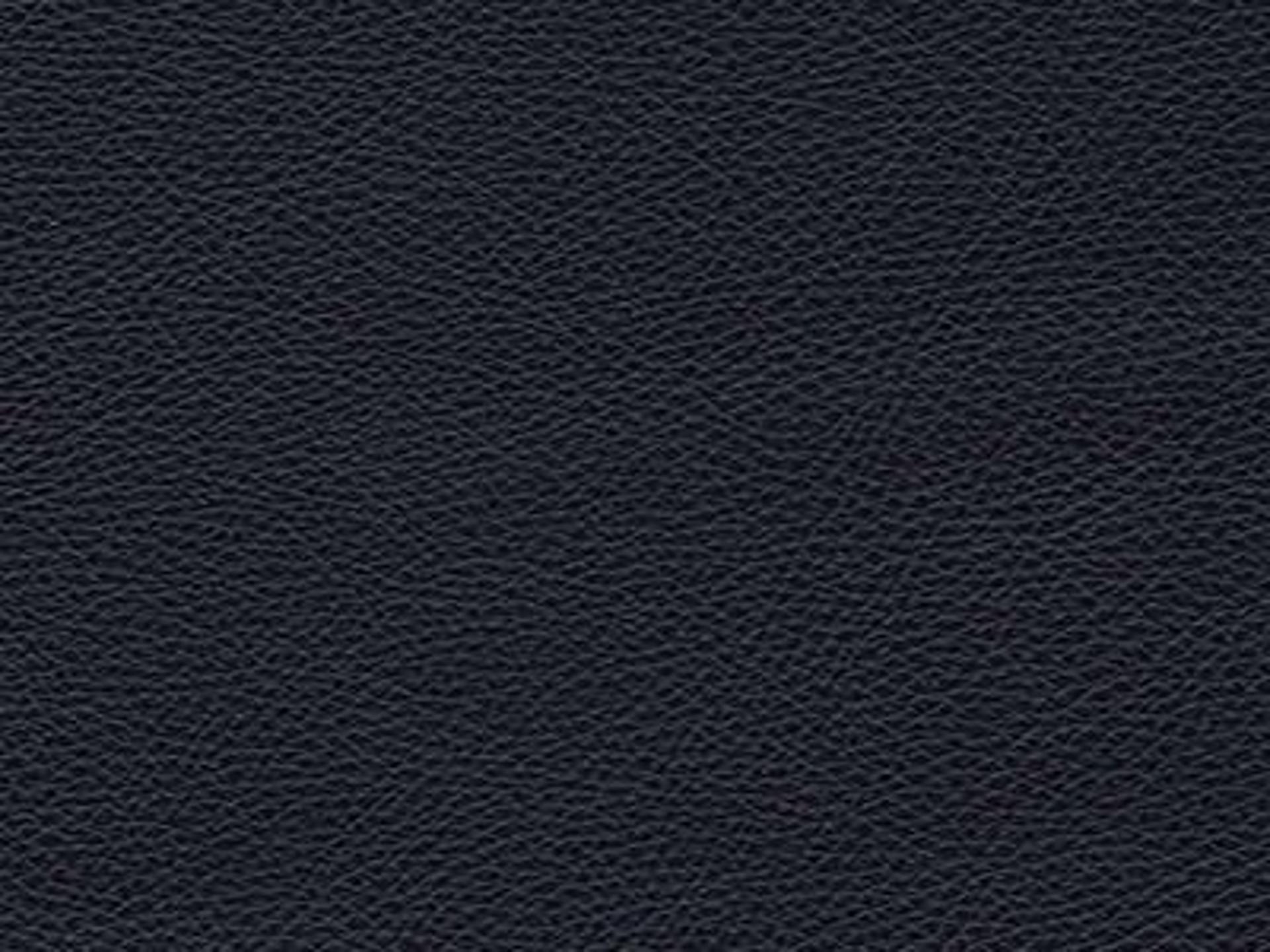 Upholstery: Le Mans Dark Blue Leather - 15CY