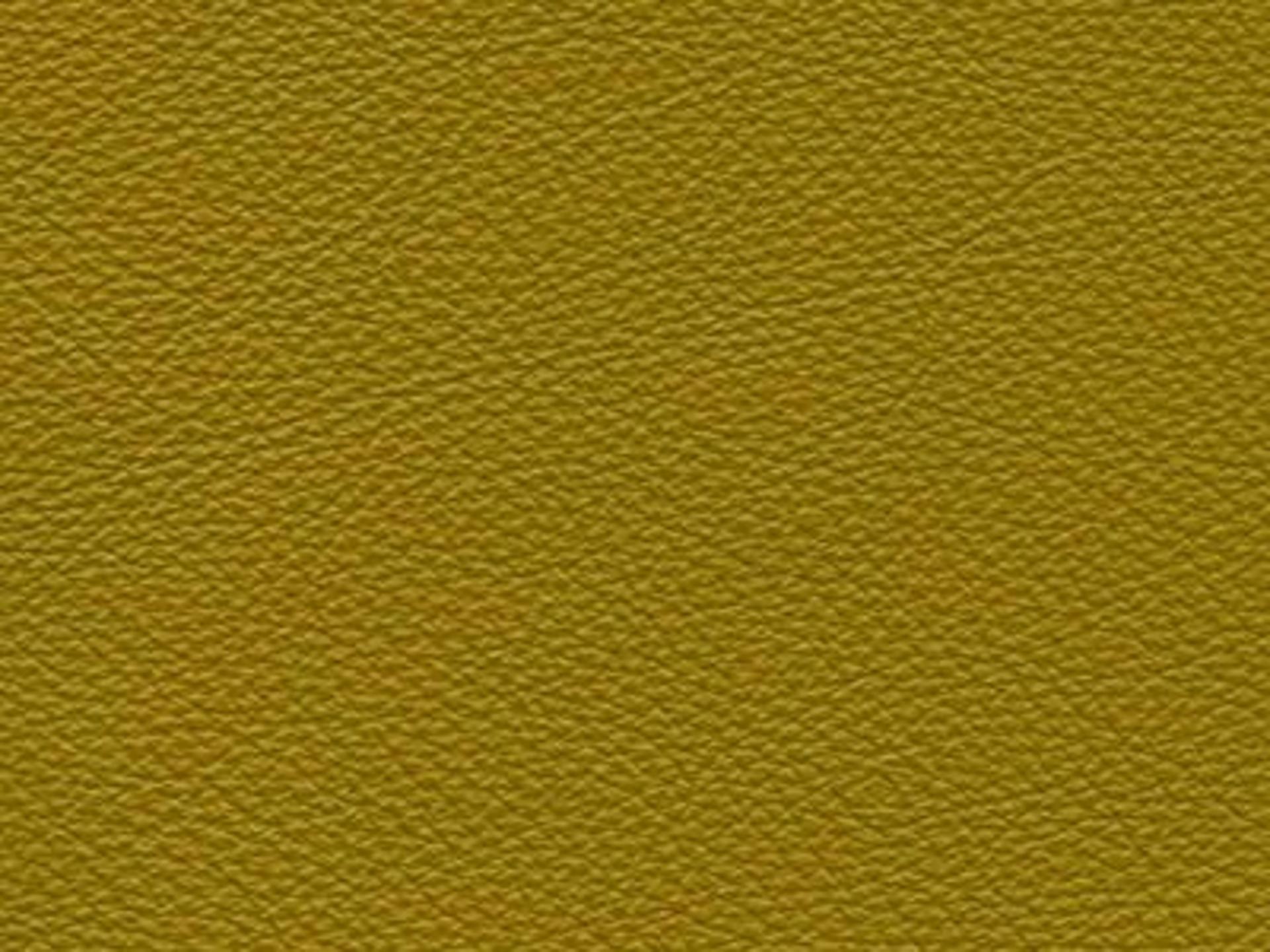 Upholstery: Le Mans Cedar Leather - 15D2