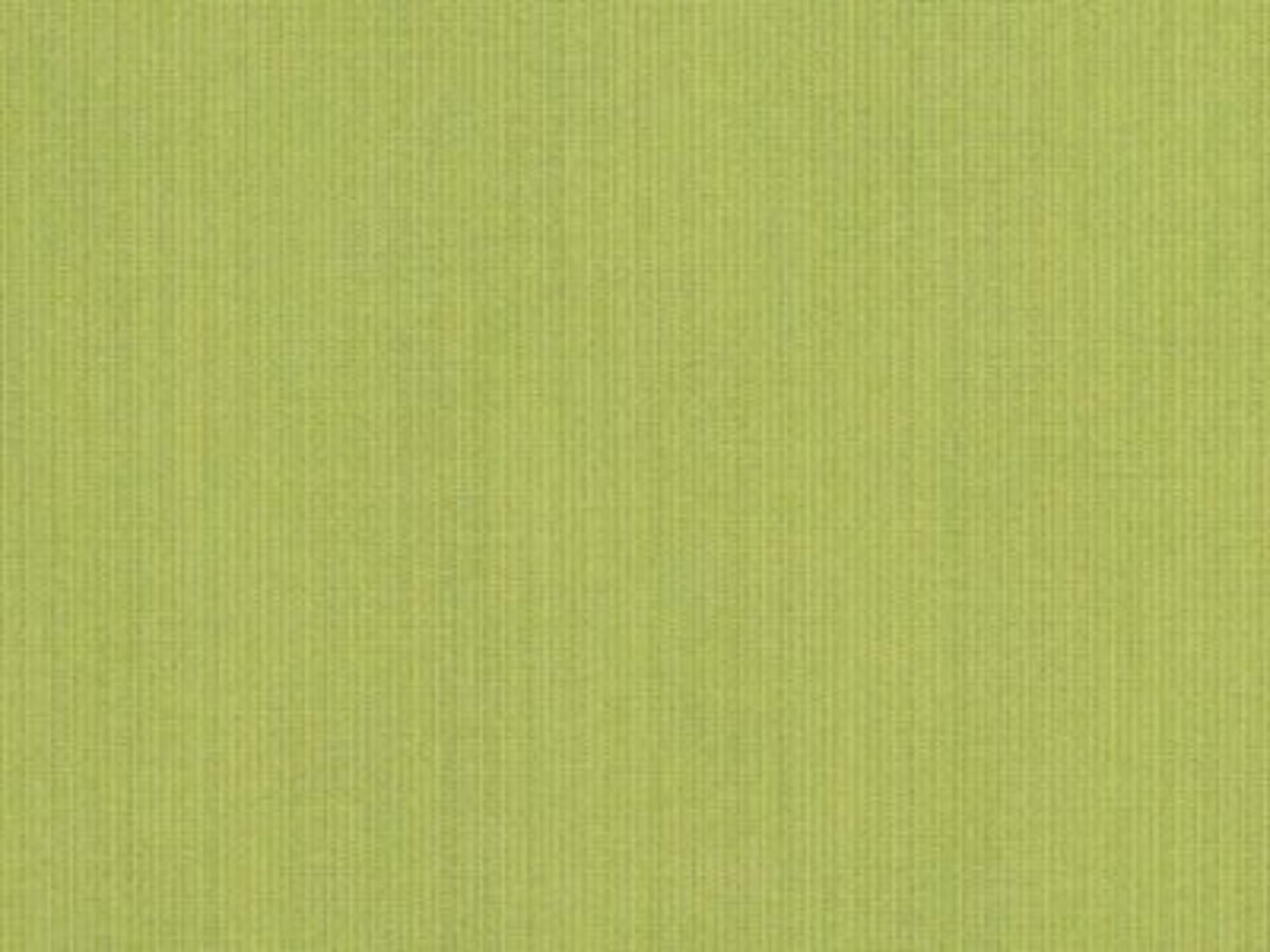 Fabric: Sunbrella Spectrum Kiwi