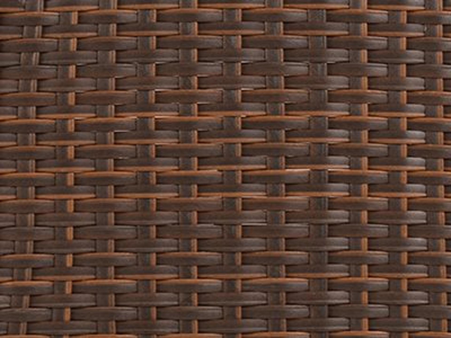 Dining Chair Finish: Tortoise Shell