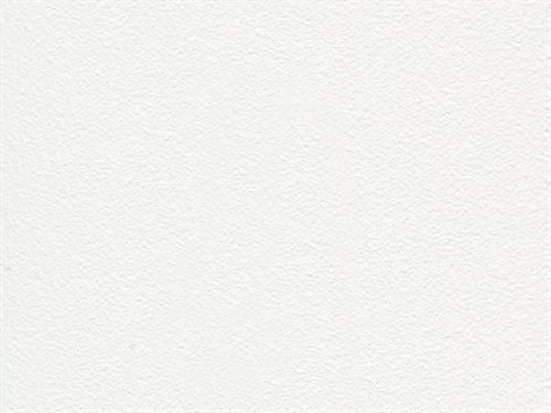 Finish: Arctic White