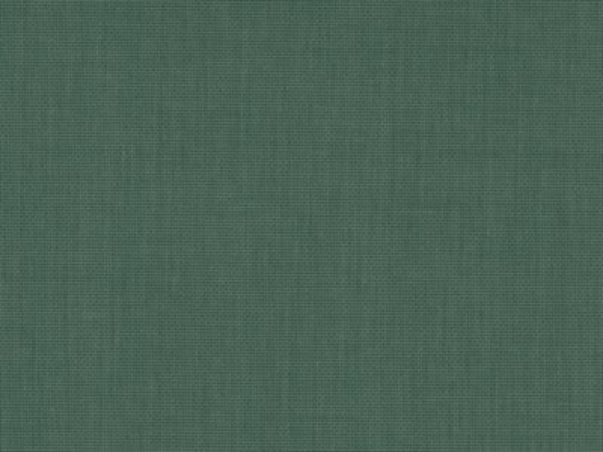 Fabric: Sunbrella Canvas Forest Green