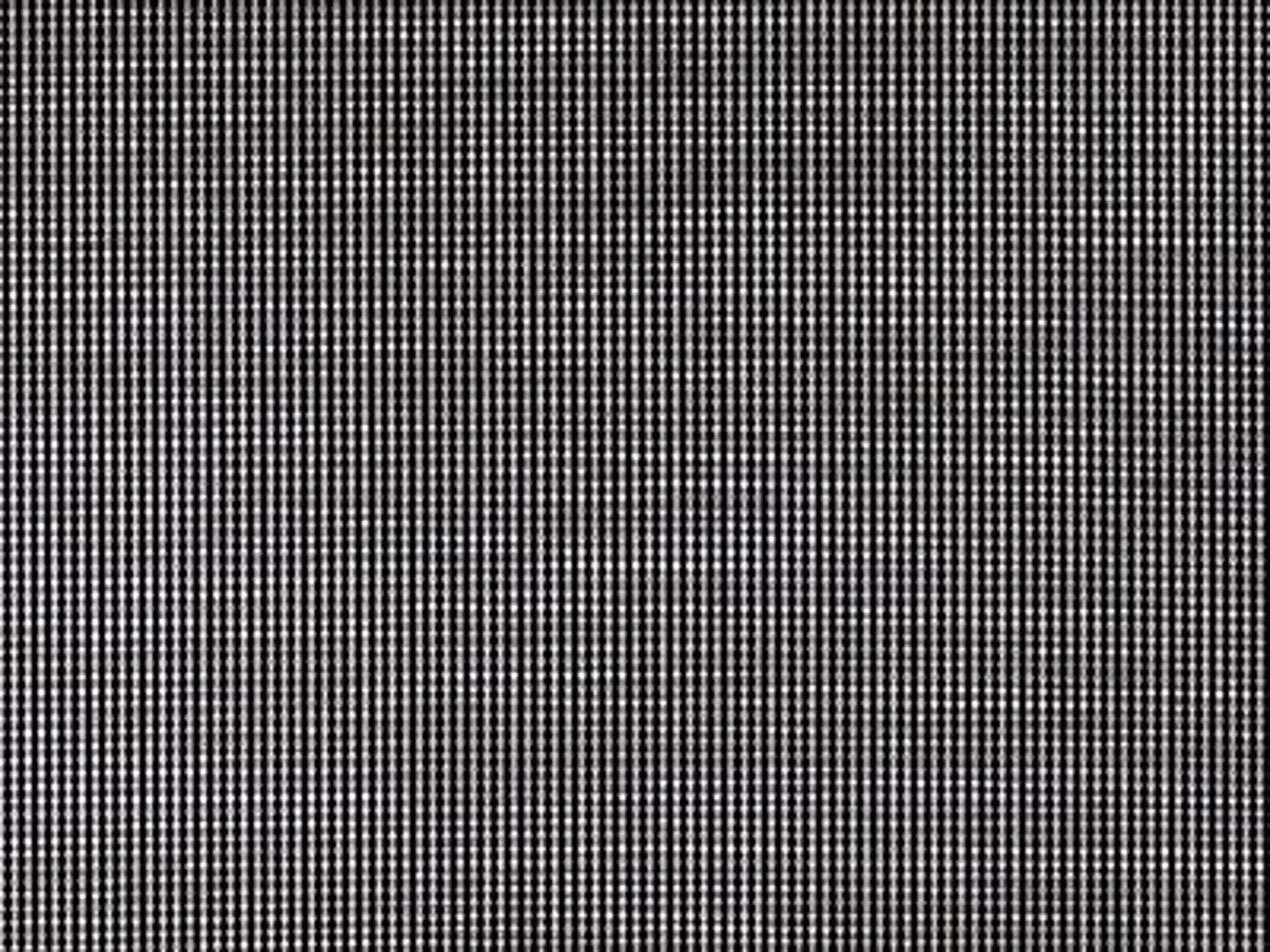 Padded Sling: Phifer Rincon