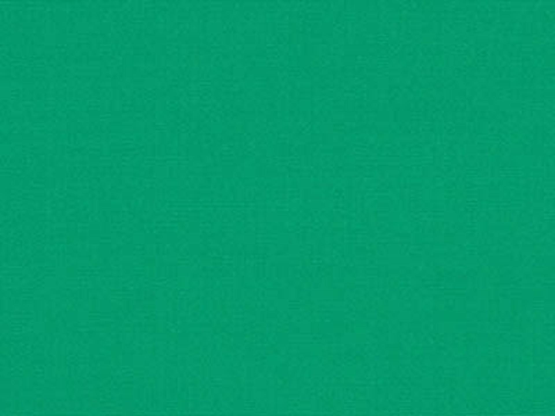 Fabric: Sunbrella Marine Grade Erin Green