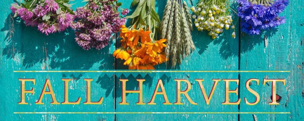 Fall Harvest