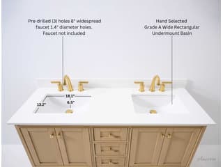 Ancerre Designs Audrey Oak 60" Vanity