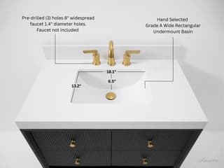 Ancerre Designs Momo Black Oak 36" Vanity