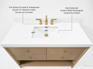 Ancerre Designs Momo Oak 48" Vanity