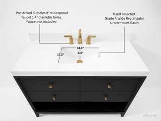 Ancerre Designs Momo Black Oak 48" Vanity