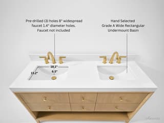 Ancerre Designs Momo Oak 60" Vanity