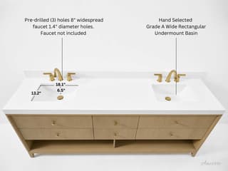 Ancerre Designs Momo Oak 84" Vanity