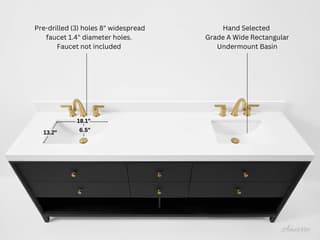 Ancerre Designs Momo Black Oak 84" Vanity