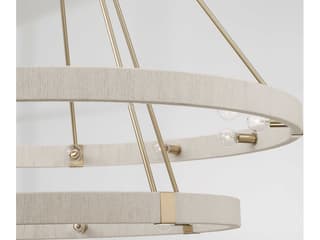 Capital Lighting Delaney 20-Light Matte Brass Round Chandelier
