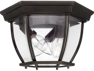 Outdoor 3 - Light Ceiling Light