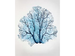Gracious Capture II Wall Art