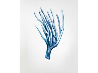 Gracious Capture III Wall Art