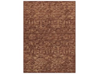 Aberdeen Floral Area Rug in Canyon with Soft Microfiber Pile