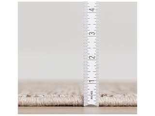 Dalyn Arcata Area Rug