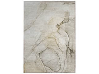 Chantille Rectangular Area Rug