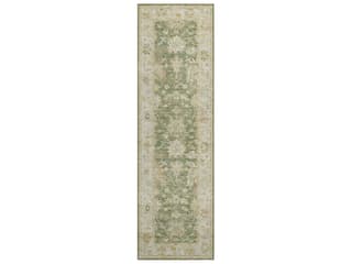 Hatay Bordered Runner Area Rug in Aloe Green