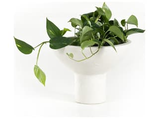 Four Hands Outdoor Constantine Plaster Molded Concrete Planter Set of 2