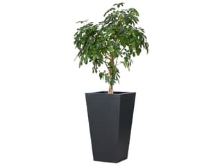 Four Hands Outdoor Thayer Koto Black Concrete Planter