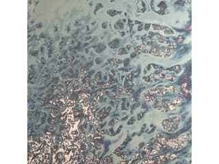 Four Hands Marlow Acid Wash Floor Mirror