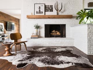 Loloi Rugs Grand Canyon Animal Prints Area Rug