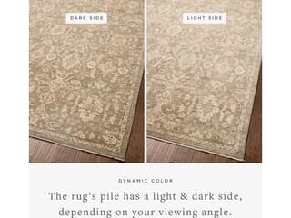 Loloi Rugs Chris Loves Julia Palma Oriental Runner Area Rug
