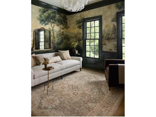 Loloi Rugs Chris Loves Julia Palma Oriental Runner Area Rug