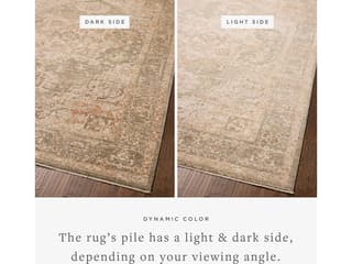 Loloi Rugs Chris Loves Julia Palma Oriental Runner Area Rug