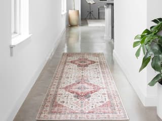 Loloi Rugs Skye Bordered Runner Area Rug