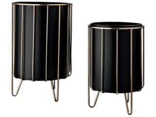Mercana Pianta 13 x 21 Set of Two Black Metal Insert Brass Frame Plant Stands