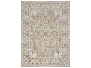 Quarry Traditional Area Rug in Beige Grey with Persian Design