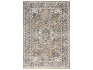 Quarry Traditional Persian Medallion Area Rug in Beige Grey