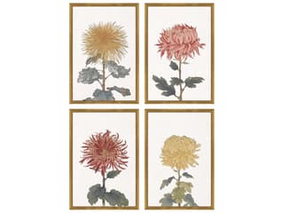 Paragon Florals Chrysanthemum Wall Art Set of 4