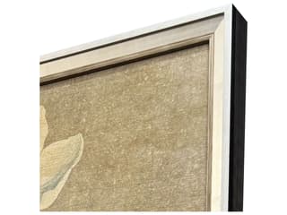 Paragon Anemones I Framed Art