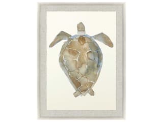 Paragon Neutral Turtle-II Wall Art