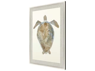 Paragon Neutral Turtle-II Wall Art