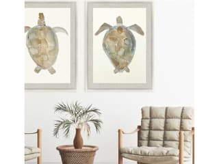 Paragon Neutral Turtle-II Wall Art