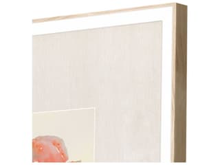 Paragon Coastal Medley Wall Art Set of 4