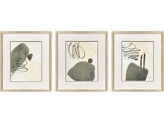 Paragon Rock Garden Framed Art - Set of 3