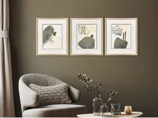 Paragon Rock Garden Framed Art - Set of 3