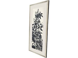 Paragon Forest Vista I Framed Art
