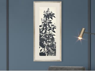 Paragon Forest Vista I Framed Art