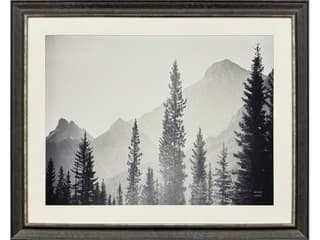 Paragon Kanaskis Country Framed Art