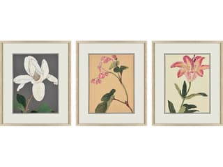 Paragon Enchanted Blooms II Framed Art - Set of 3