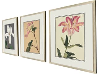 Paragon Enchanted Blooms II Framed Art - Set of 3