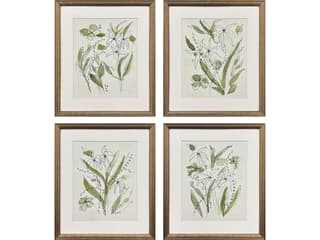 Paragon Bliss Framed Art - Set of 4