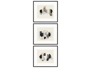 Paragon Aitkin Framed Art - Set of 3